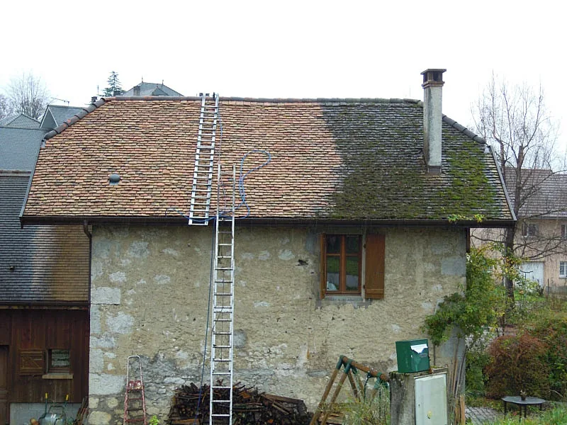 Démoussage de toiture à Seine-et-Marne