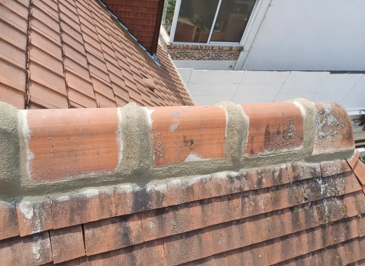 Traitement hydrofuge de toiture à Seine-et-Marne